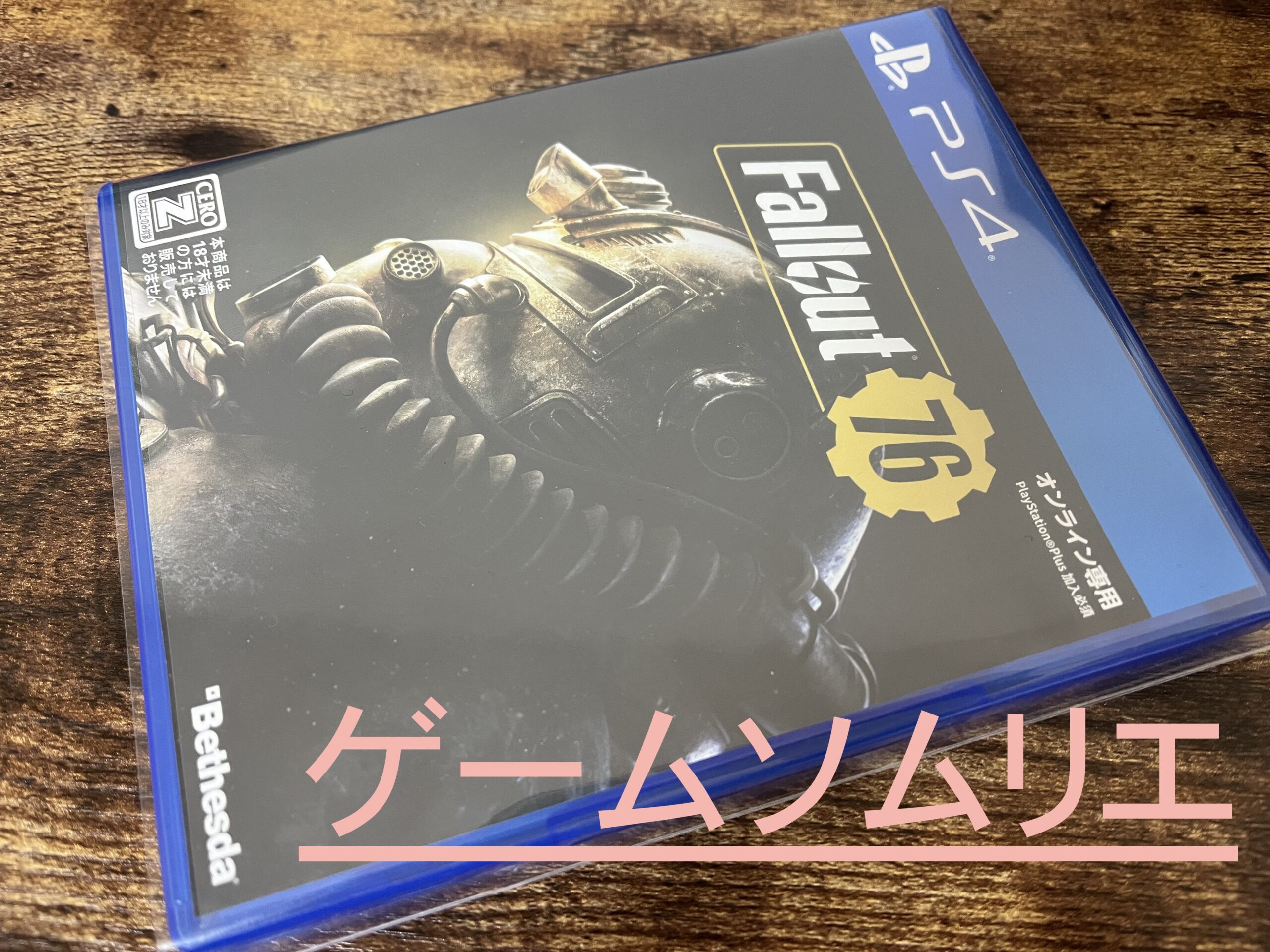Amazon.com: Fallout 76: Wastelanders - PlayStation 4